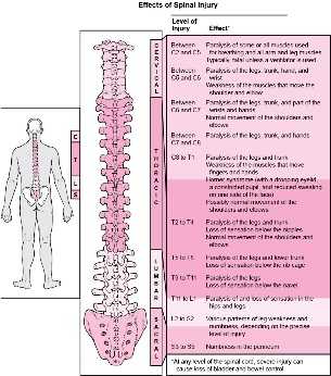 doenças no corpo associadas a danos em várias partes da coluna