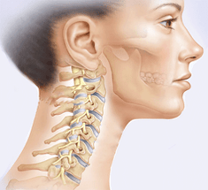 ilustração da coluna cervical